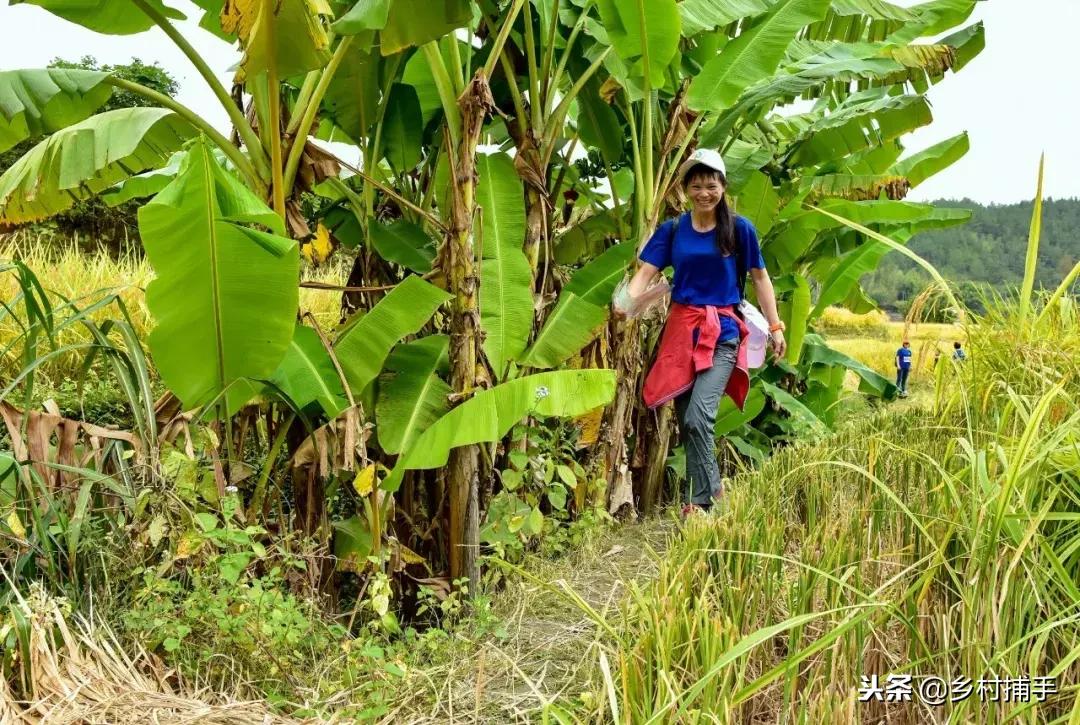 南粤古驿道拍摄后记,2018南粤古驿道展示