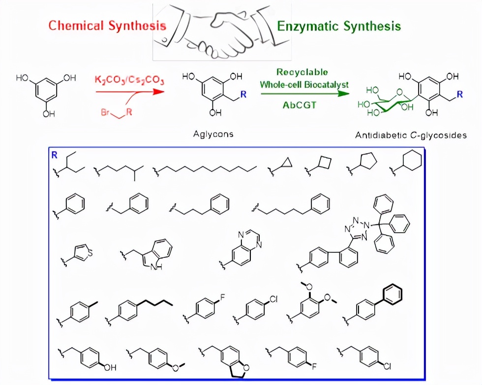 最新上市的降血糖药物有哪些,中国最新研发的口服降糖药