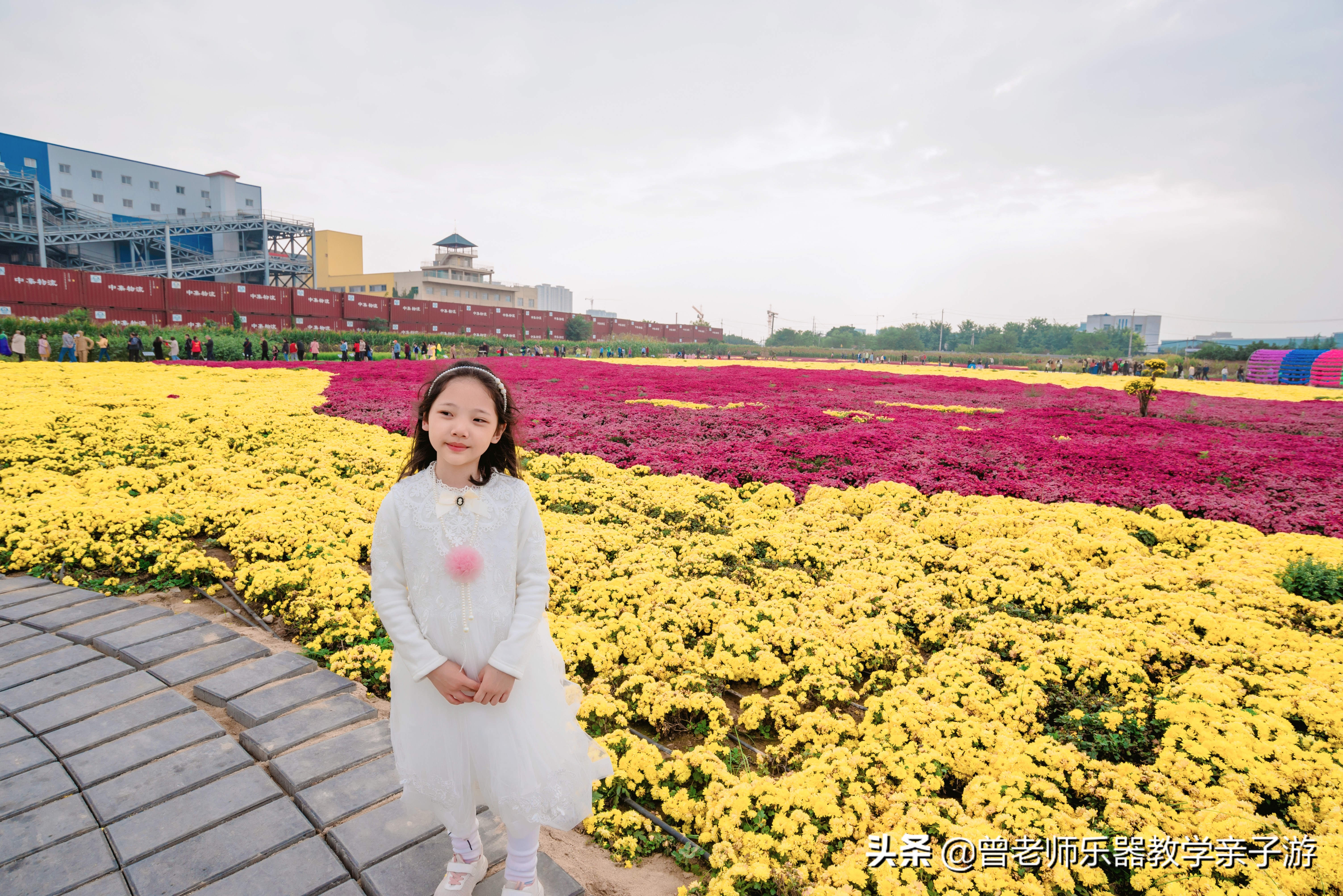 爱菊研学游,爱菊丝路文化菊花园西安