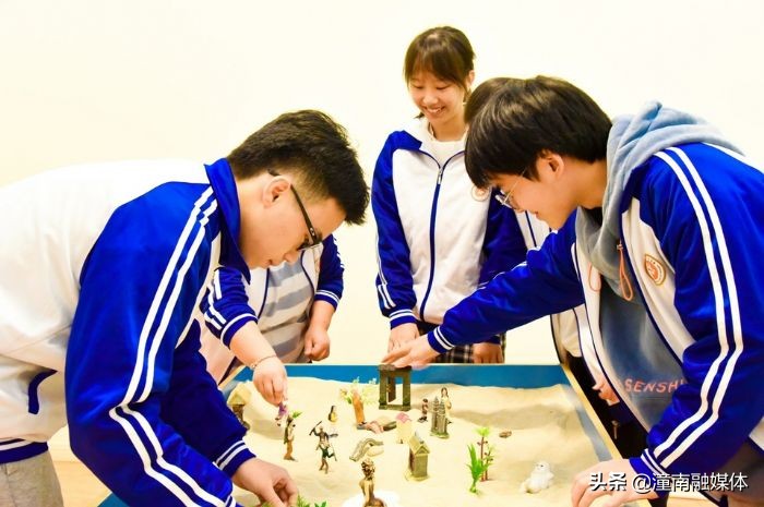 南陵县中小学生心理健康,潼南区中小学心理健康云平台