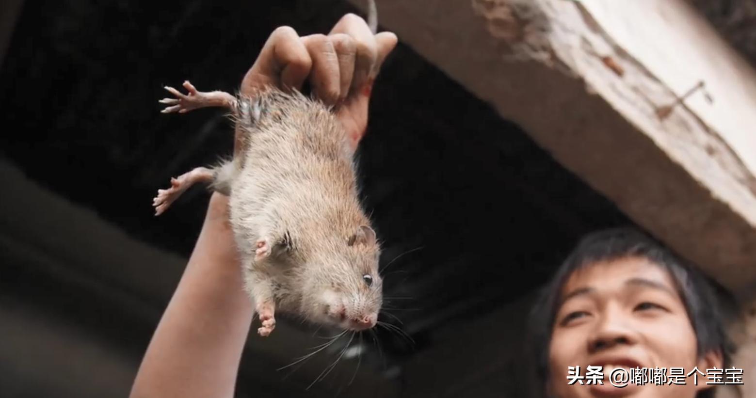 黑心商家用过什么来做黑心食物,黑心商家的食物你敢吃吗