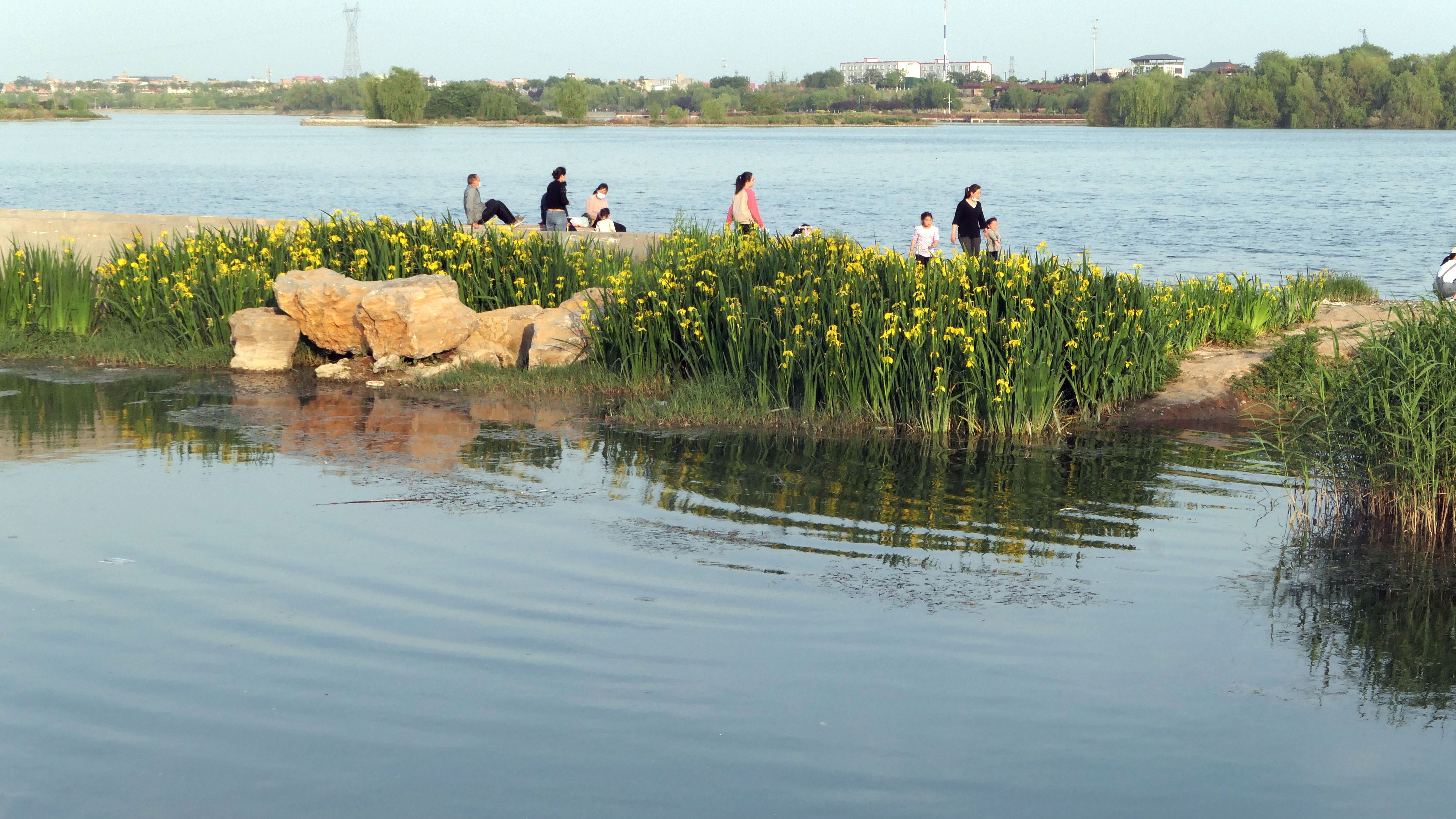 最美洛阳好风景,洛阳美丽风景视频