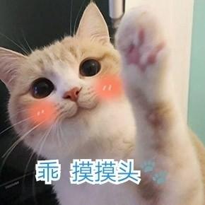 拼多多怎么开直通车推广比较好,拼多多直通车搜索和场景推广区别