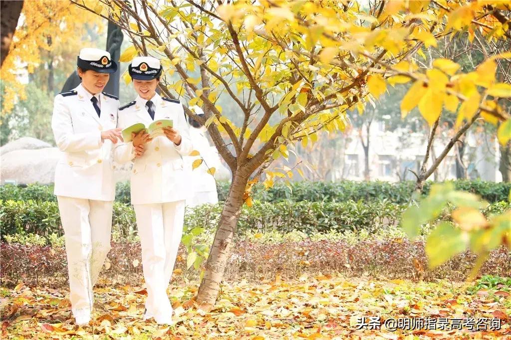 海军五所军校,中国海军五所学校