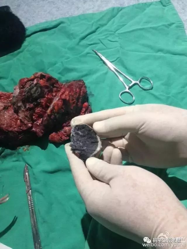 袁立的真实事件,袁立所有的照片