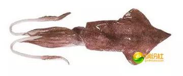 舟山海鲜代加工攻略,最全舟山海鲜攻略