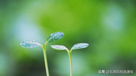 往年高考掉档是什么原因,高考掉档对下一批有什么影响