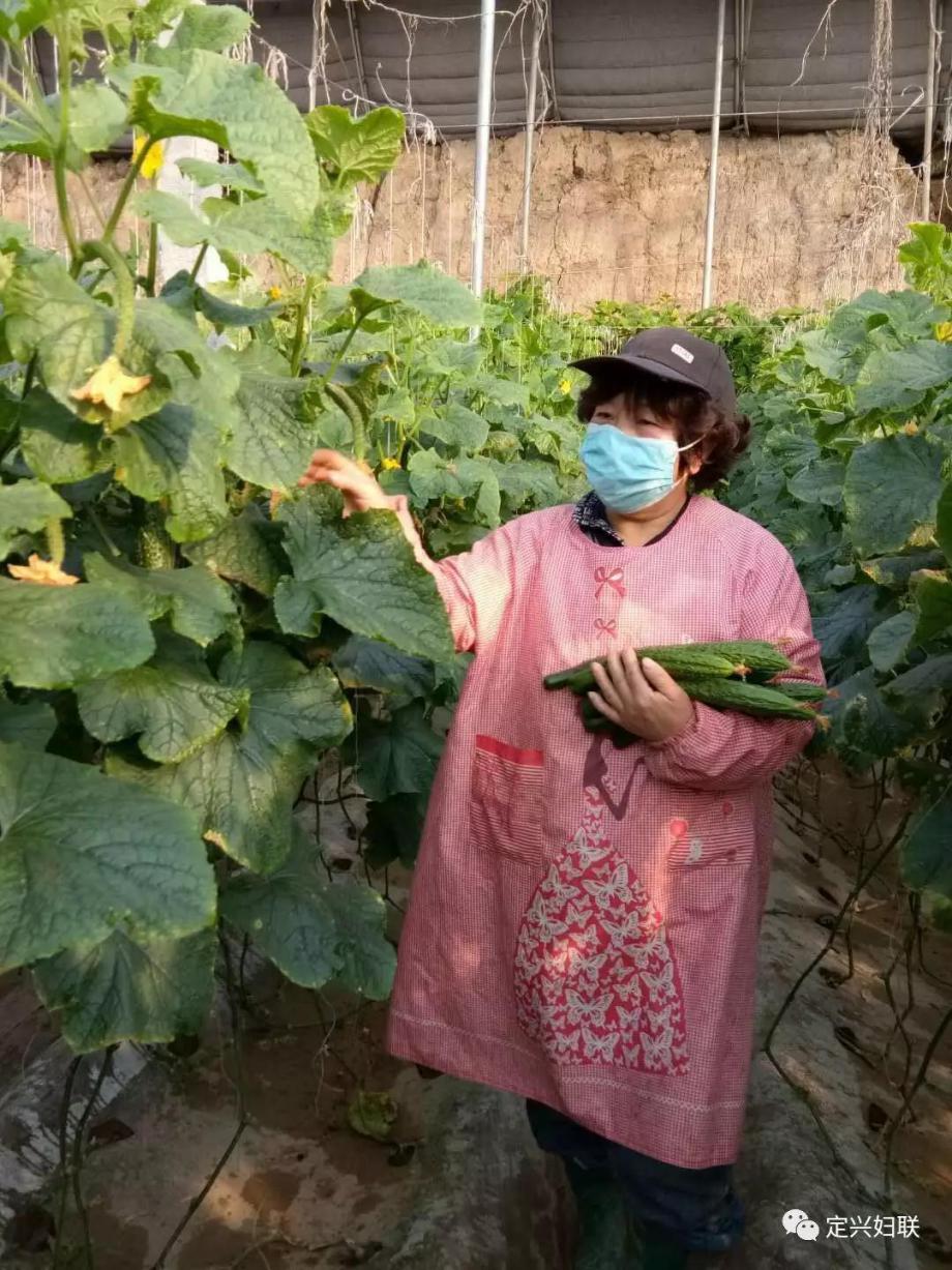 最新保定疫情防控工作会议,定兴疫情防控中心通知最新