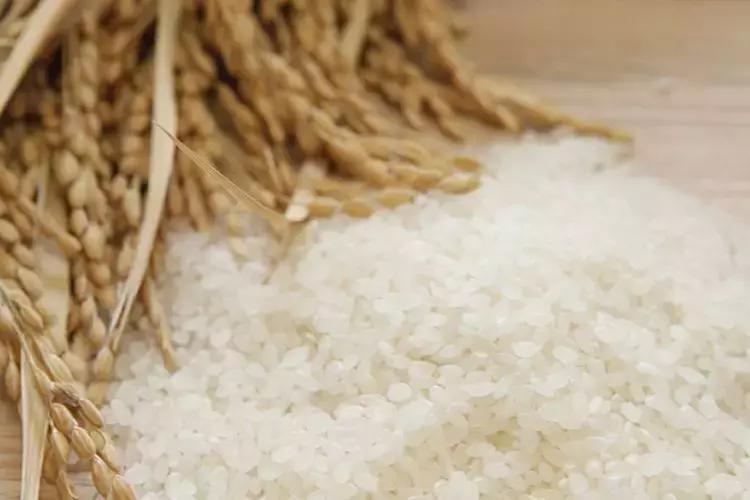 清酒好饮,清酒到底好不好喝