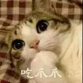 「玩家采访」《梦幻西游三维版》玩家采访,为“爱”寻梦三界