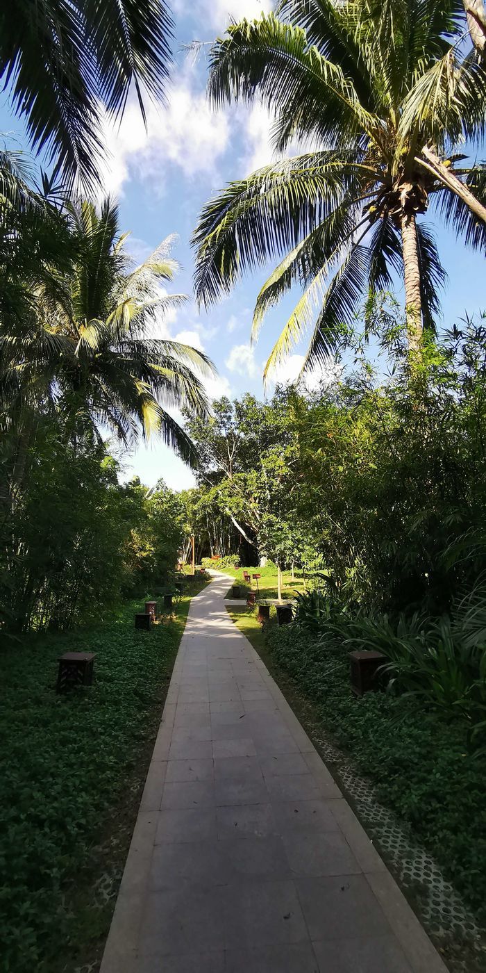 三亚红树林有亲子活动,三亚红树林和海韵