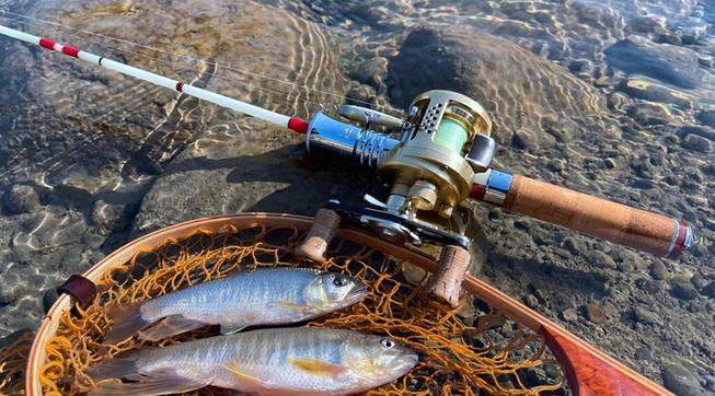 百元以内最良心的路亚竿,千元级路亚马口竿