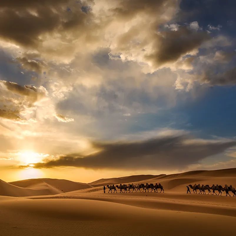 鄂尔多斯去天津最佳路线,青岛到鄂尔多斯最佳路线