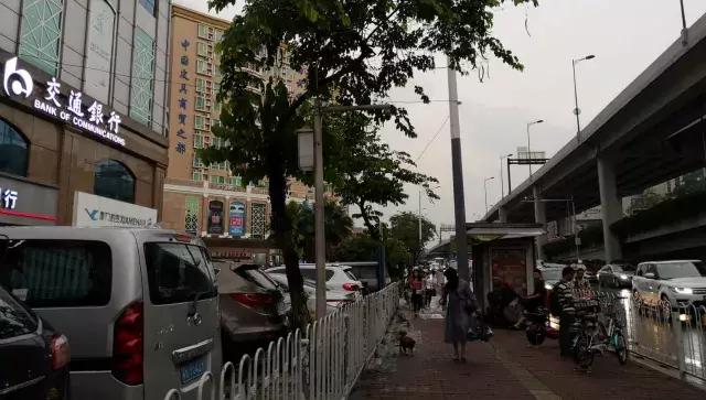 600%倍利润！这三个国际大牌成“假代购”的重灾区，谁还敢买？