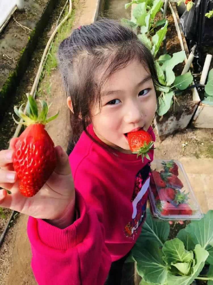 天目湖御湖半岛温泉酒店下午茶,天目湖御湖半岛温泉酒店