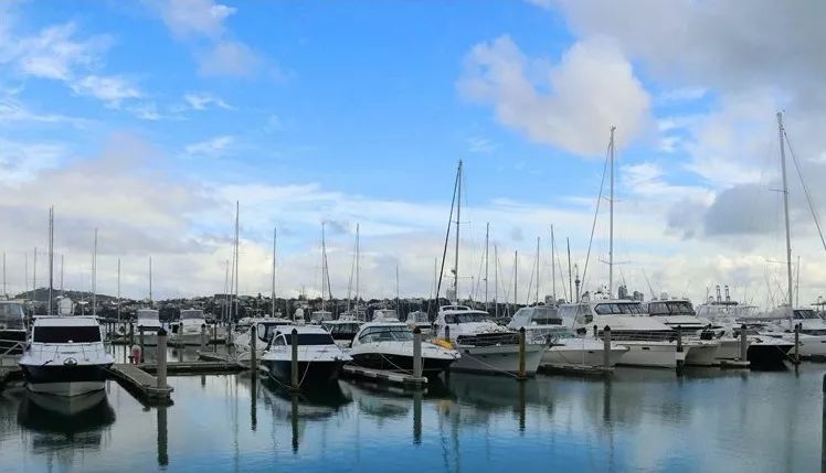 难忘的新西兰之行,在新西兰难忘的日子