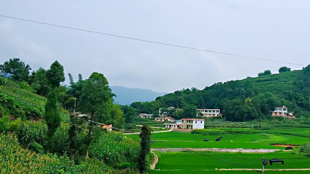 四川旅游踩坑的地方,贵州旅游踩坑