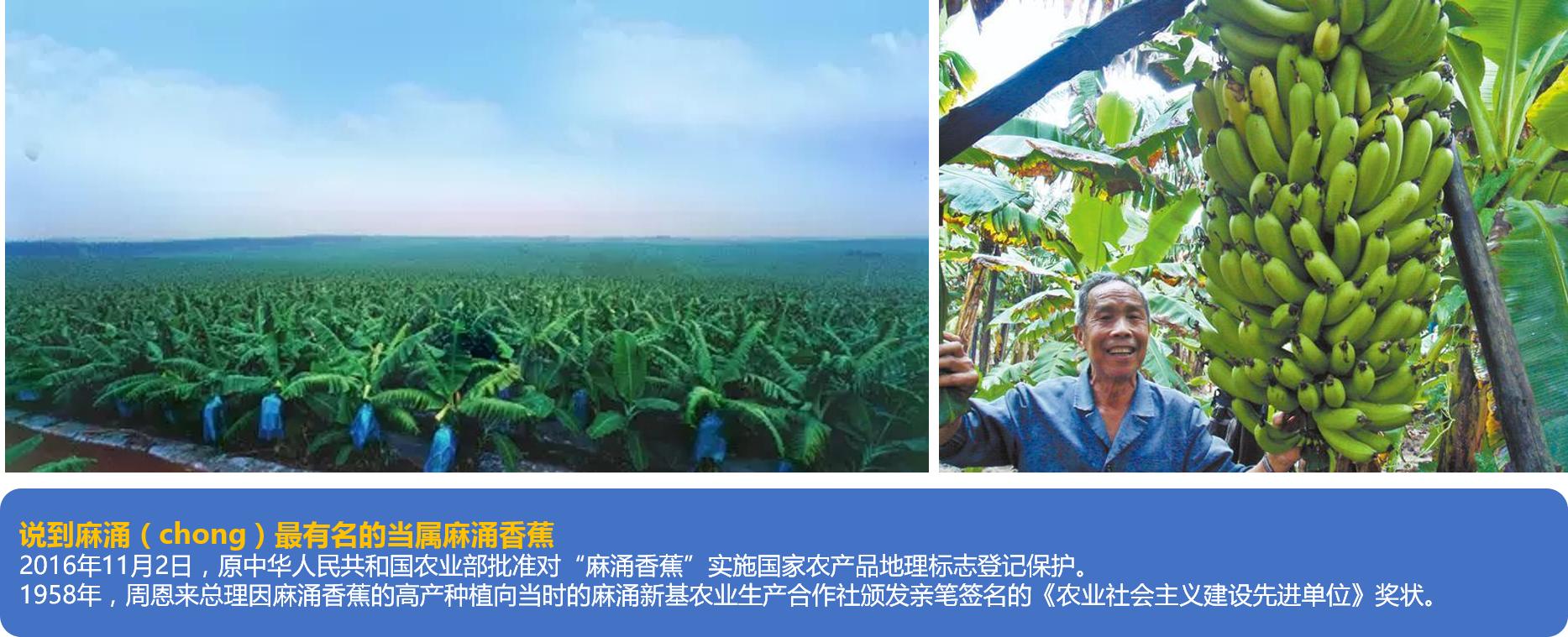 东莞麻涌美丽田园,东莞麻涌田园生活