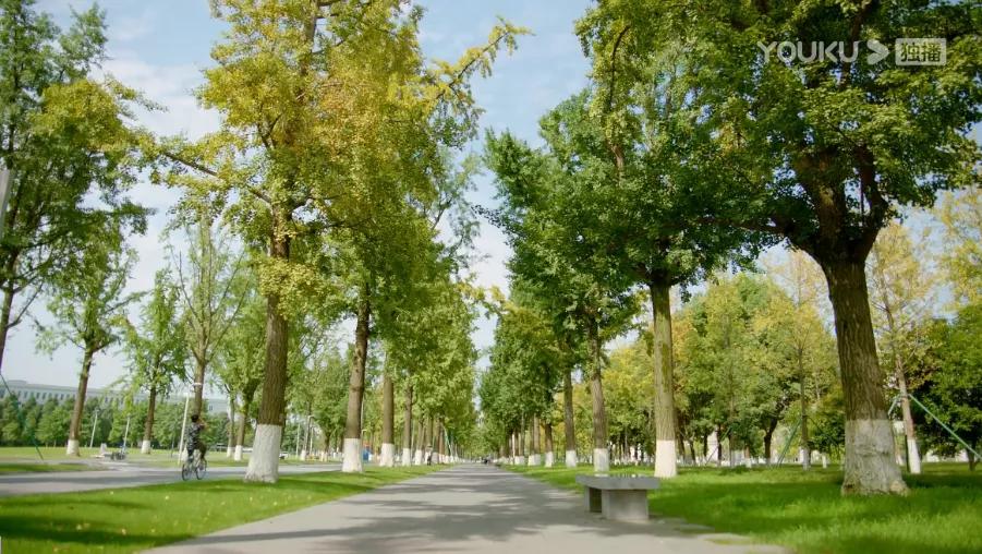 花式“虐狗”！热播剧《全世界最好的你》竟然来清水河畔“打卡”！“清水寺”的学霸们，宅家请淡定！