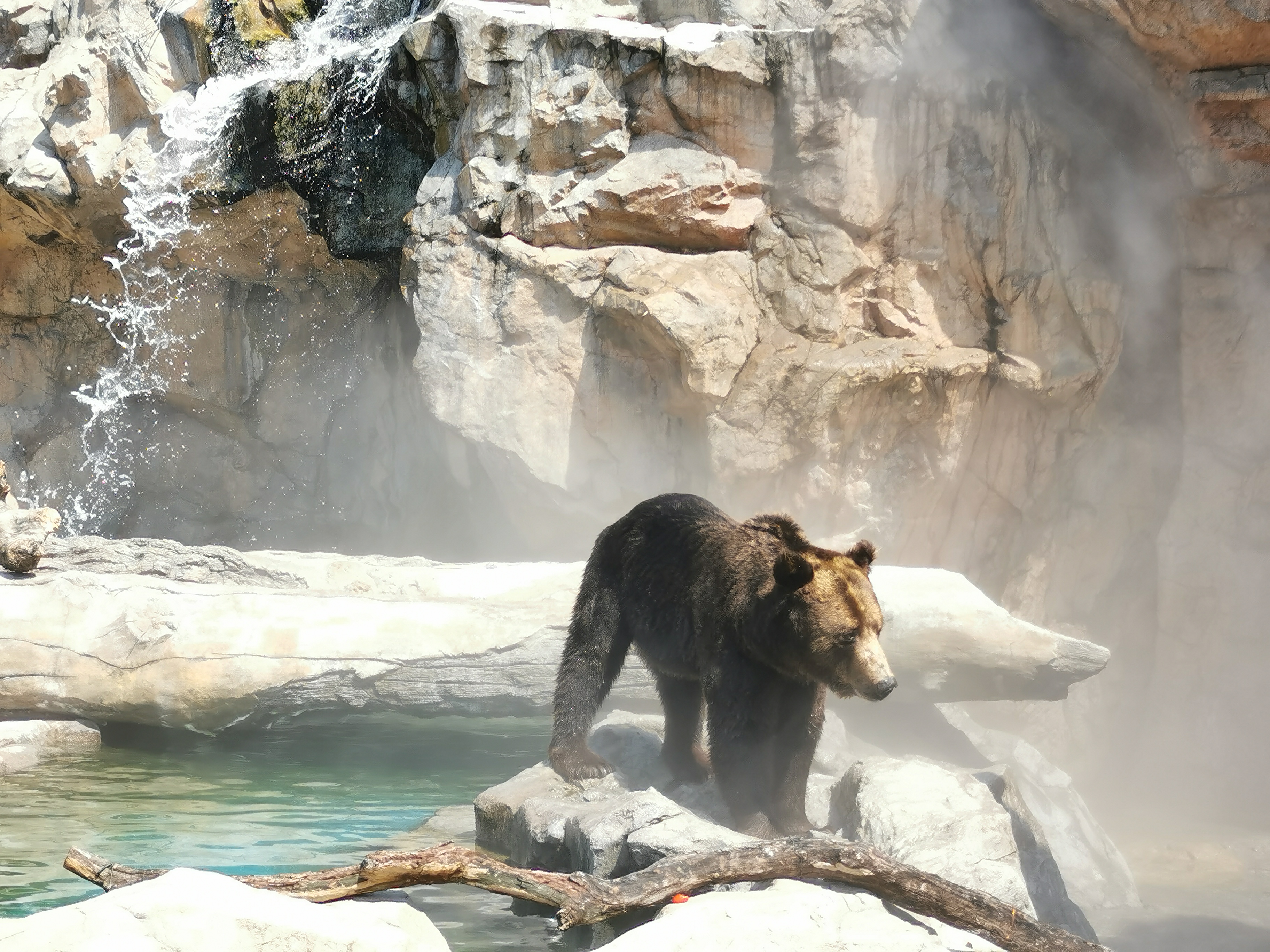 去珠海长隆海洋王国游玩攻略路线,最新珠海长隆海洋王国一日游攻略