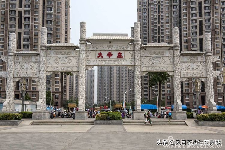 济南秋天的法国梧桐,济南一颗梧桐树