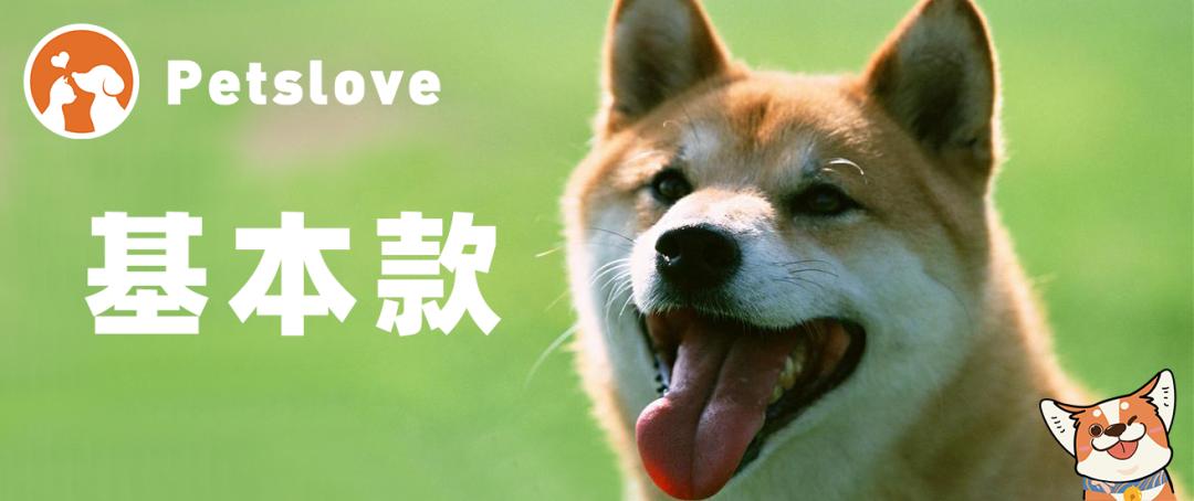 养狗新手入门必知推荐,想养只狗不知道该怎么养