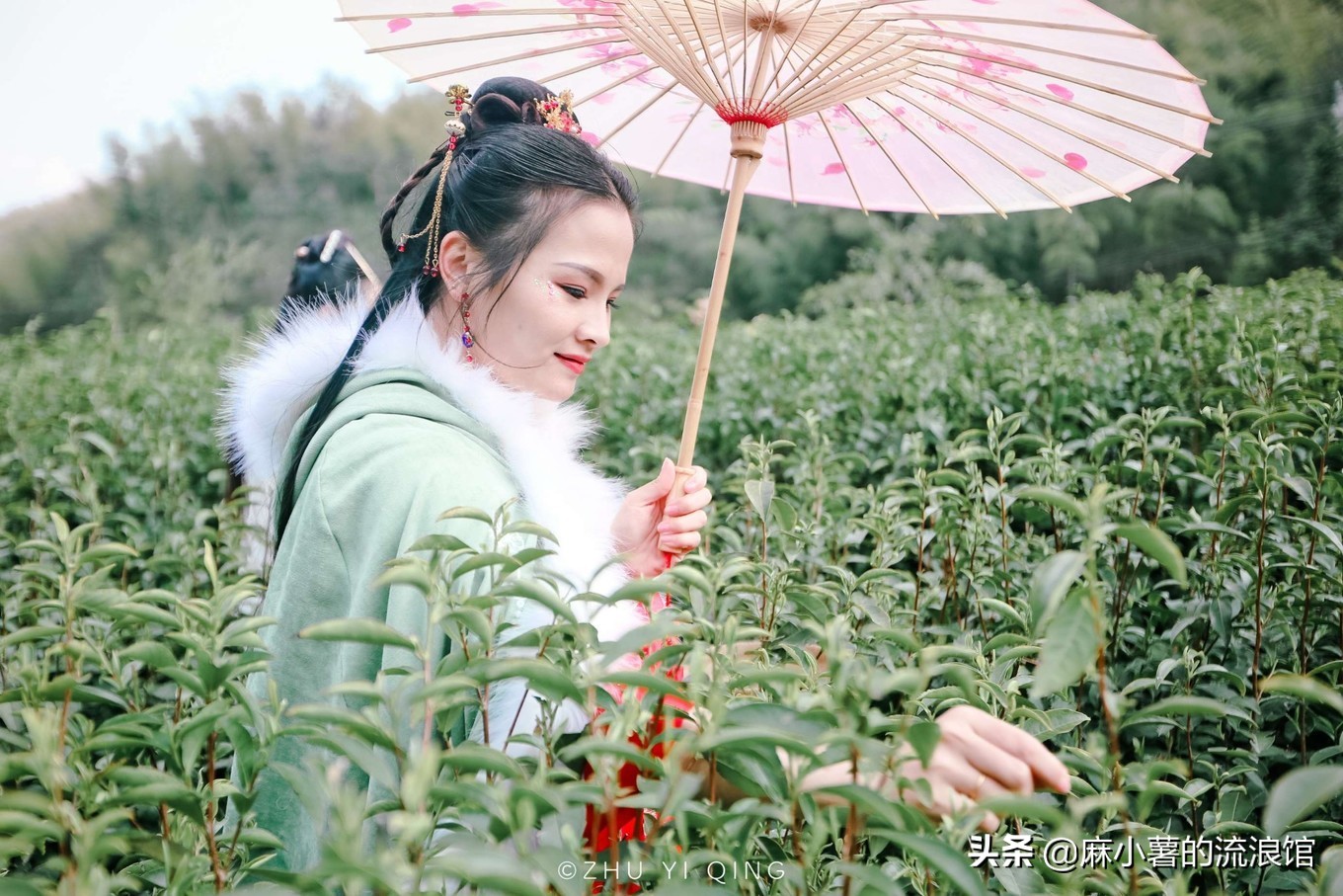 最早的抹茶是什么茶做的,日本抹茶源于中国唐宋的点茶法