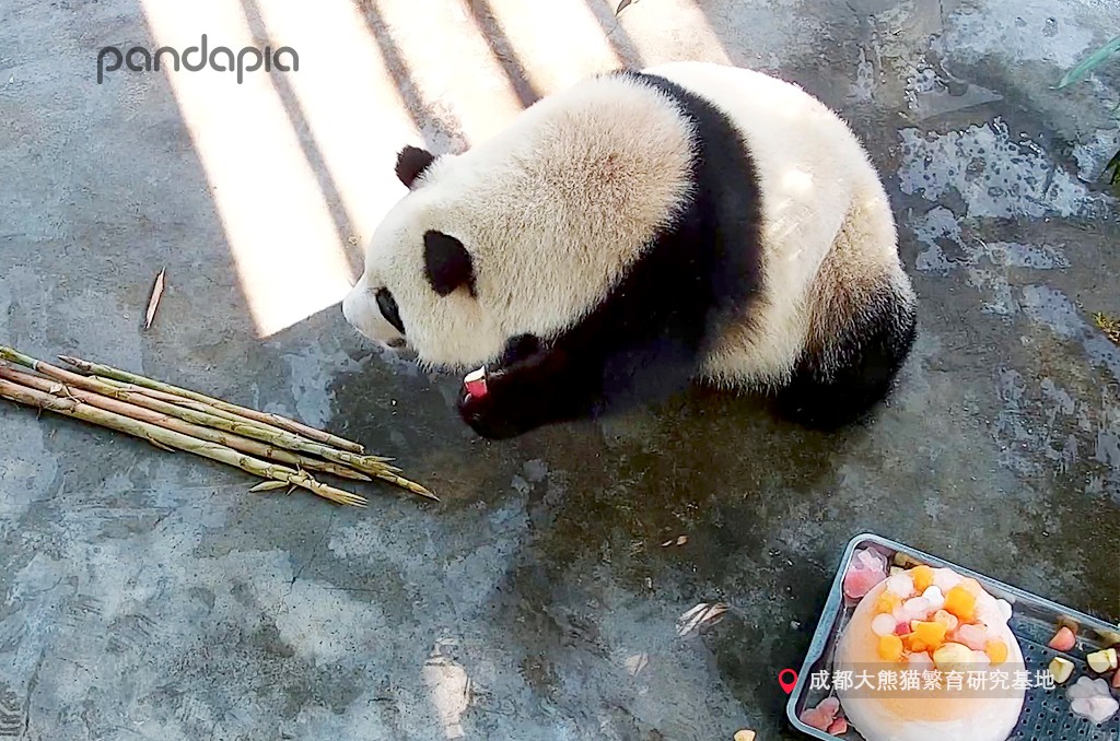 做塑料姐妹,真正的塑料姐妹是什么样的