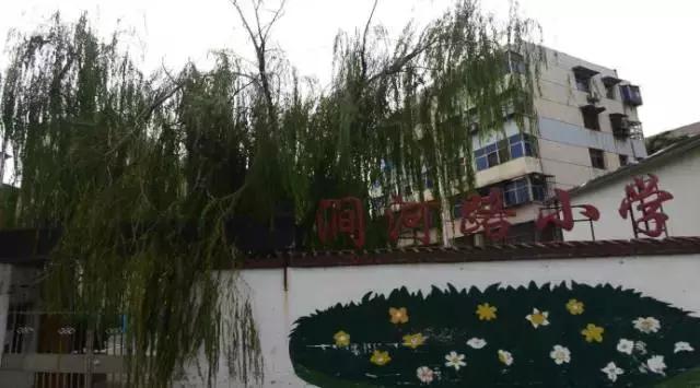 2021年洛阳高新区各小学划片范围,洛阳小学划片政策