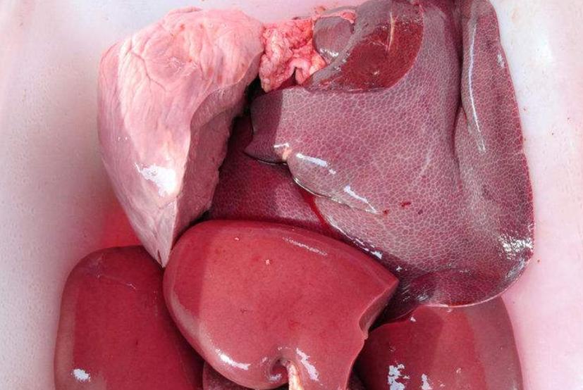 自制猫饭不重样,自制猫饭很难吗