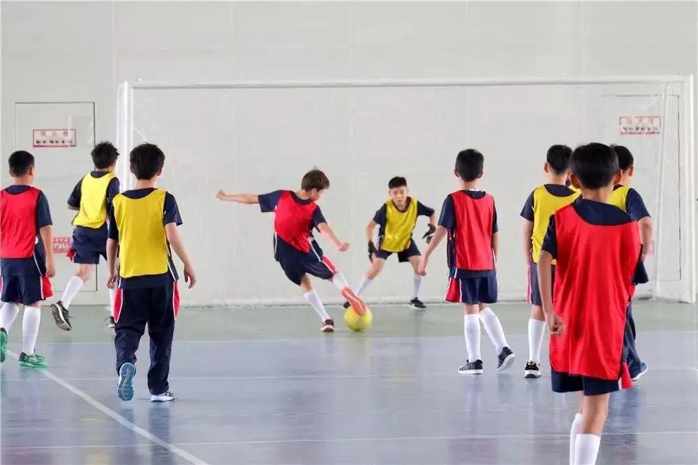 获得奥运金牌的学霸,夺金运动员刻苦训练