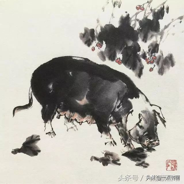 简单猪画画教学,国画写意猪图大全