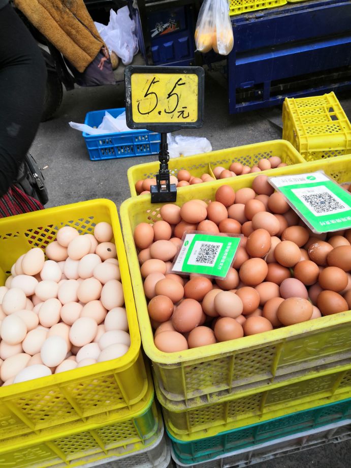 哈尔滨头条达人,哈尔滨头条新闻