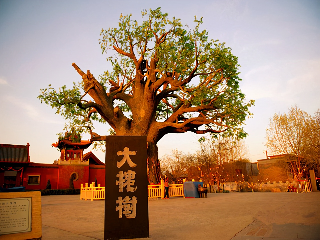 小脚趾甲两瓣一定是汉族人么,小脚趾甲一瓣的人是什么民族