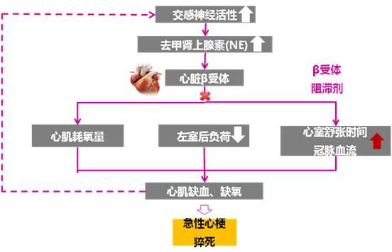 抗心绞痛的分类及代表药物,抗心绞痛药物的分类及代表药物