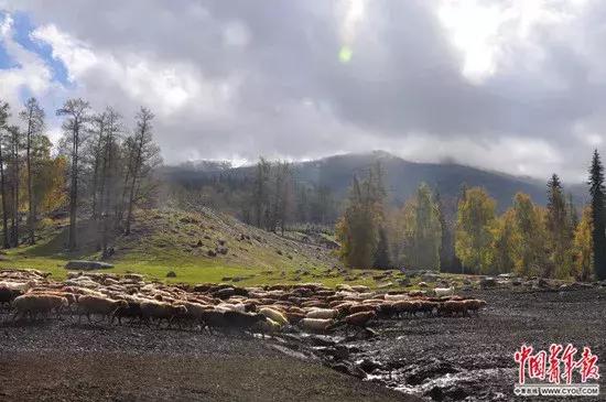 令人动容曾经支教的老师,去新疆支教老师哭了