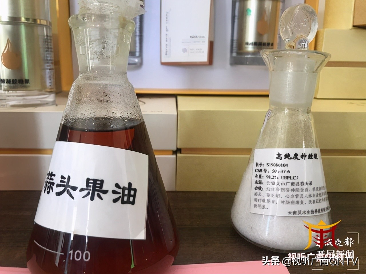 蒜头果中提取神经酸成文山广南村民“致富树”