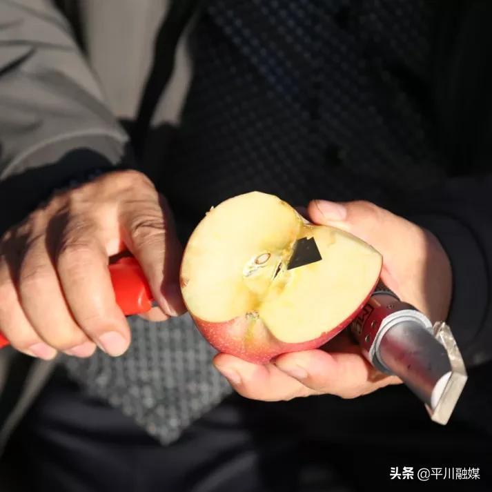 又香又脆又甜的苹果,好吃的苹果又脆又甜青苹果