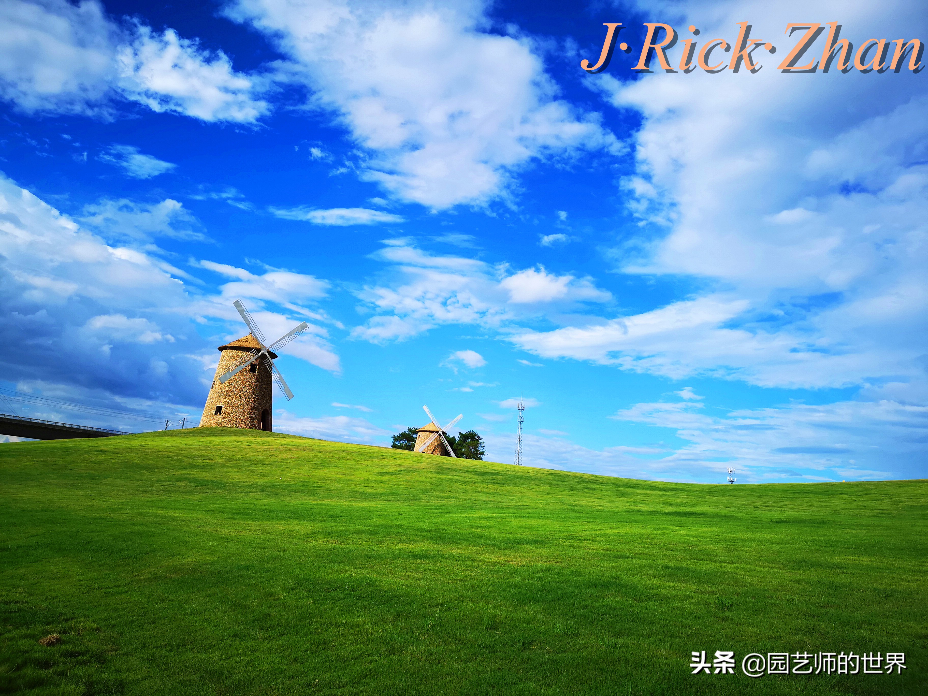 怎么种植草坪不长杂草,如何养好草坪