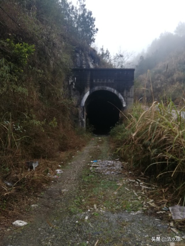 看到这个老铁路洞口，我莫名的伤心，童年的记忆都给我勾出来了