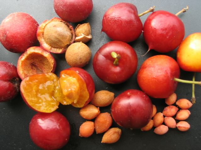 这种水果直降60元一斤,价格实惠的补钙水果