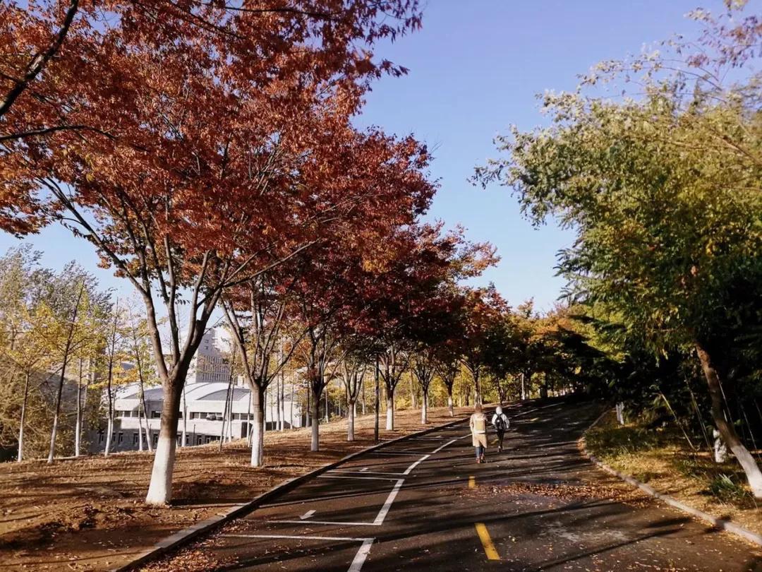 辽宁大连民办大学,大连辽宁二本大学