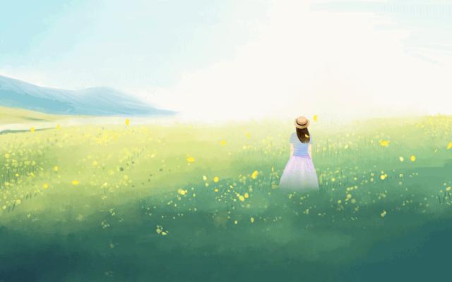 芳疗天竺葵精油,芳疗精油