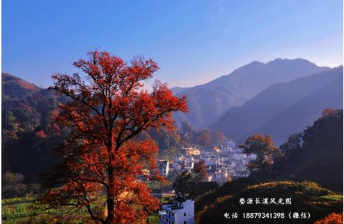 婺源最美村住宿,婺源住宿观景房