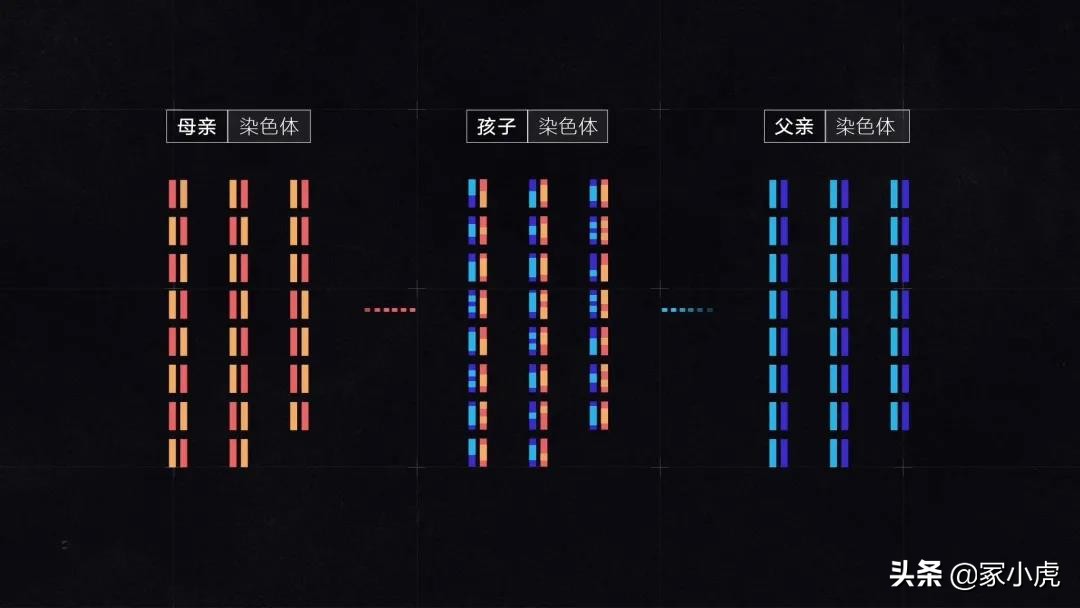 外周血能确定亲子鉴定准确性吗,亲子鉴定99%能确定吗