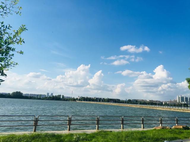 看云卷云舒赏繁星满天,看云卷云舒唯美诗词