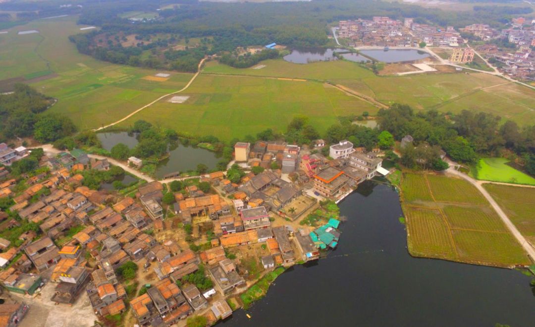 恩平市城镇最新规划项目,恩平森林小镇