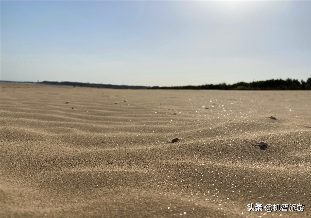 日照旅游住宿吃海鲜游玩攻略，这份吃住游玩详解人人必备