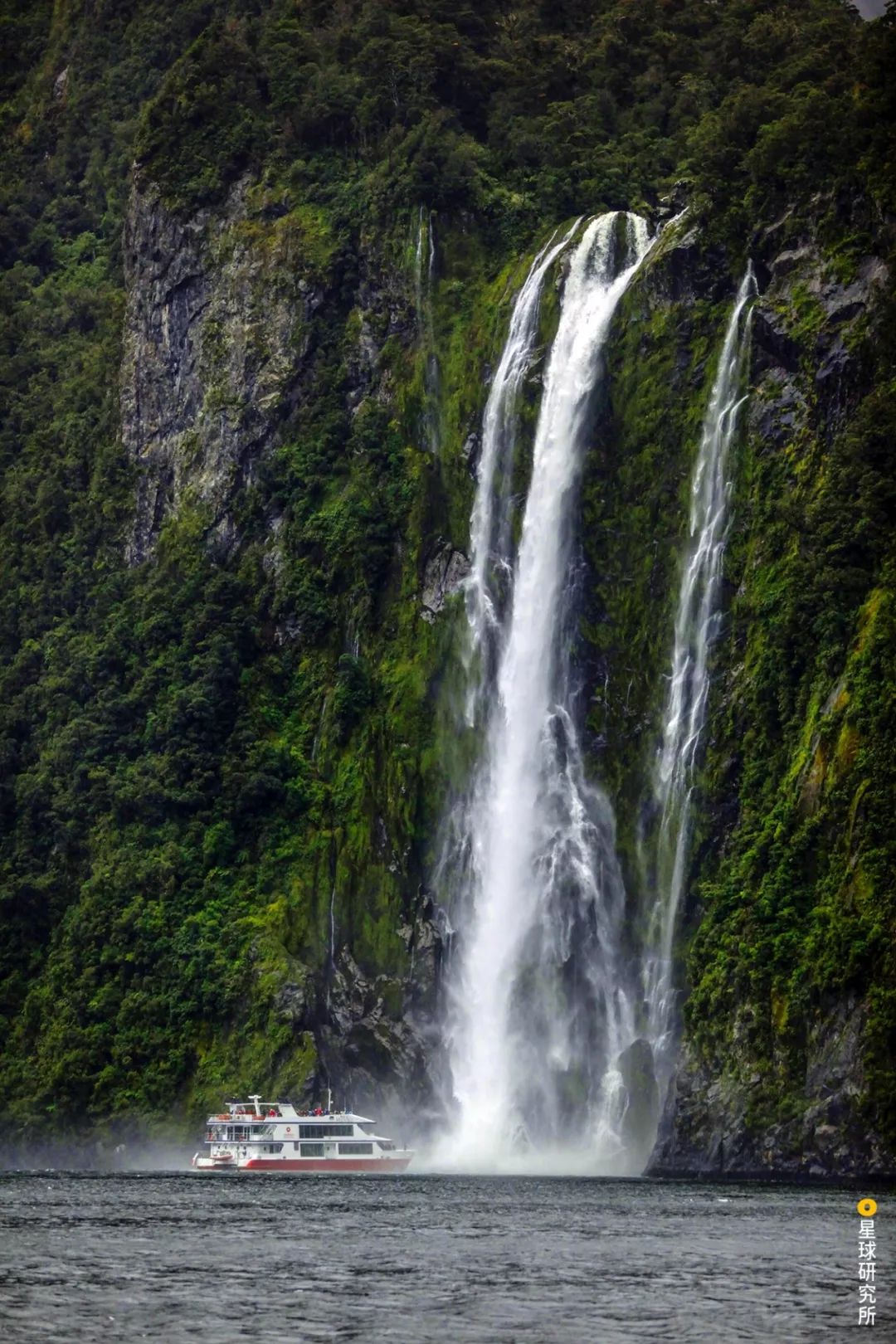 新西兰为什么那么发达,新西兰为什么这么牛