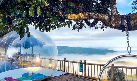 除了三亚西双版纳还能去哪玩儿,云南西双版纳旅游景点攻略自由行